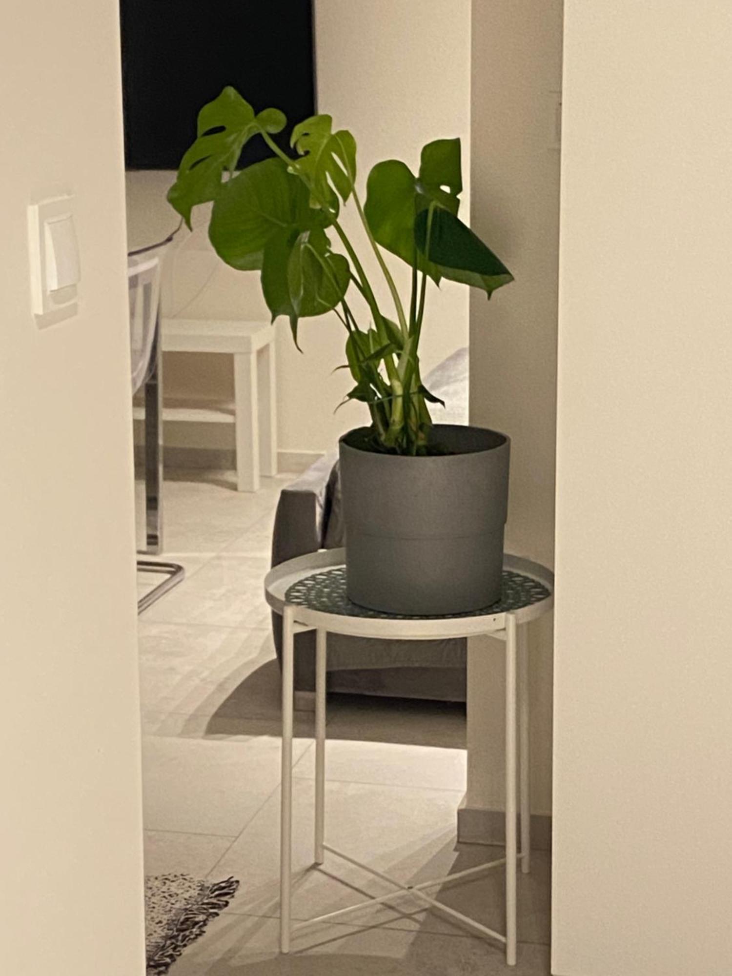 Marina 6 Delux Apartment Ниешорце Екстериор снимка
